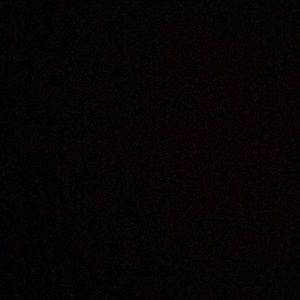 Meet your Posher, Gracee